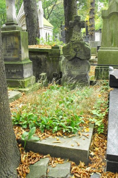 Zdjęcie grobu: Józef Zawadzki