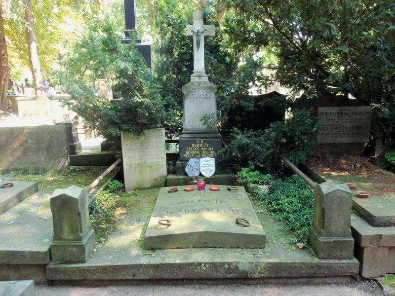 Zdjęcie grobu: Henryk Dębicki