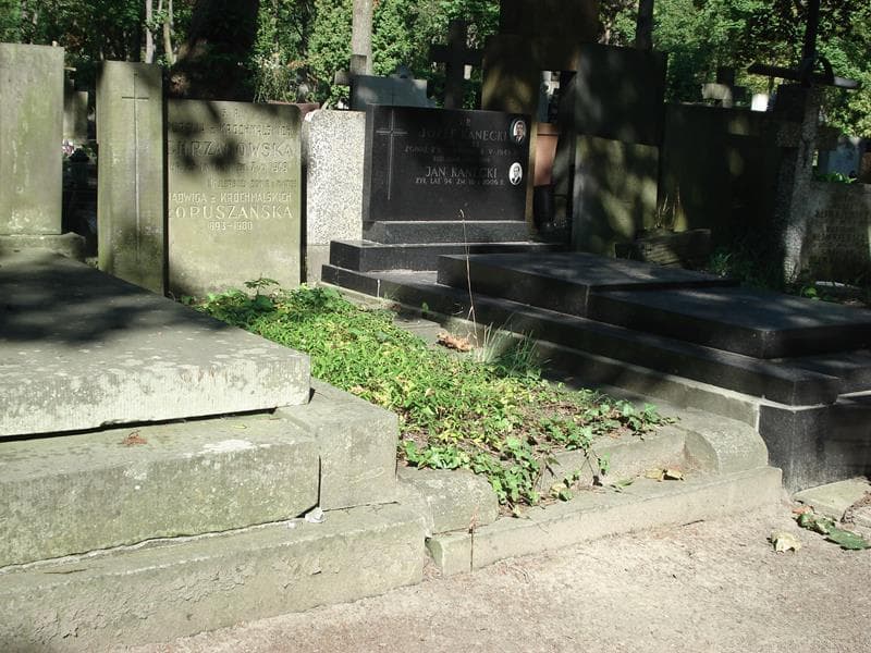 Zdjęcie grobu Aurelia Chrzanowska (1)
