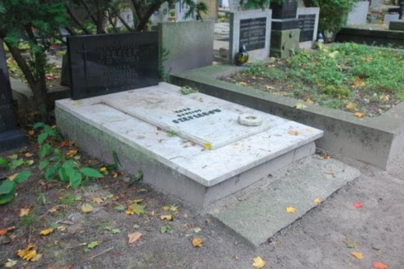Zdjęcie grobu Sabina Szeflerowa (1)