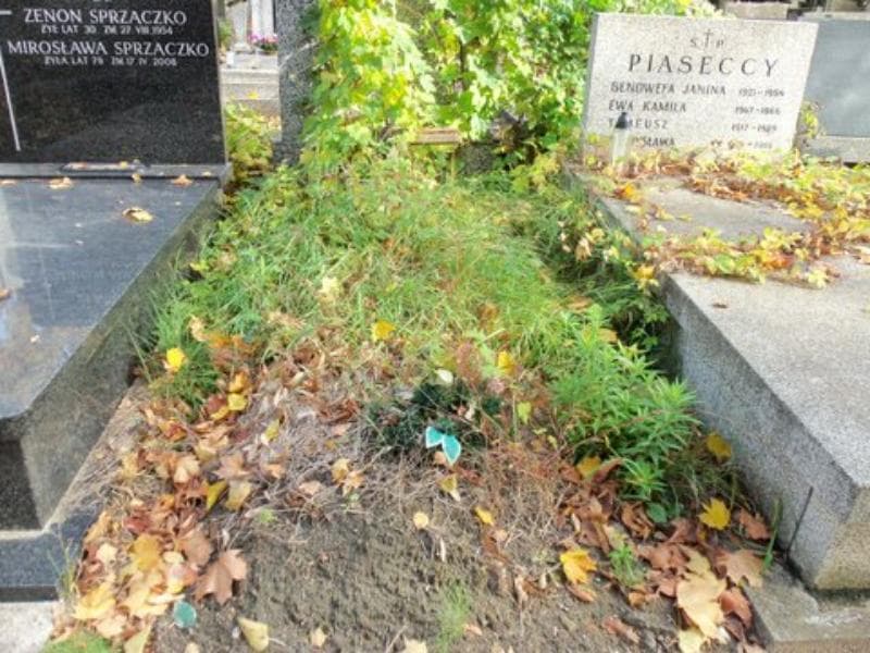 Zdjęcie grobu: Anonim