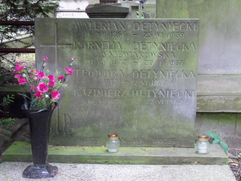 Zdjęcie grobu Teodora Detyniecka (2)