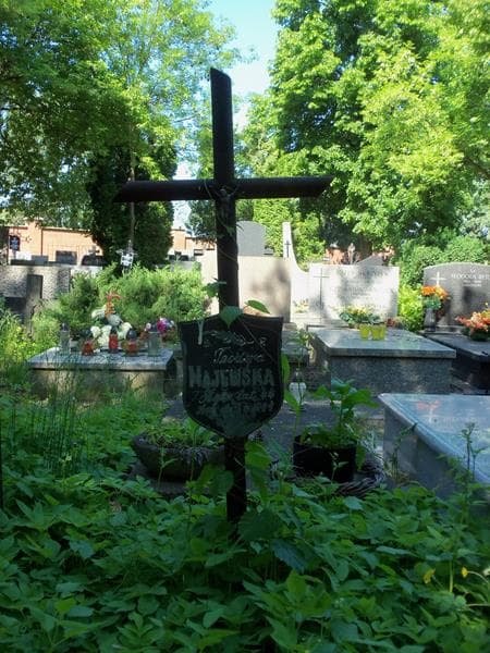 Zdjęcie grobu Teodora Majewska (2)