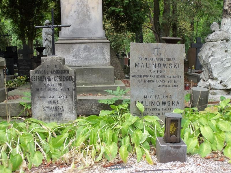 Zdjęcie grobu Zygmunt Apoloniusz Malinowski (2)