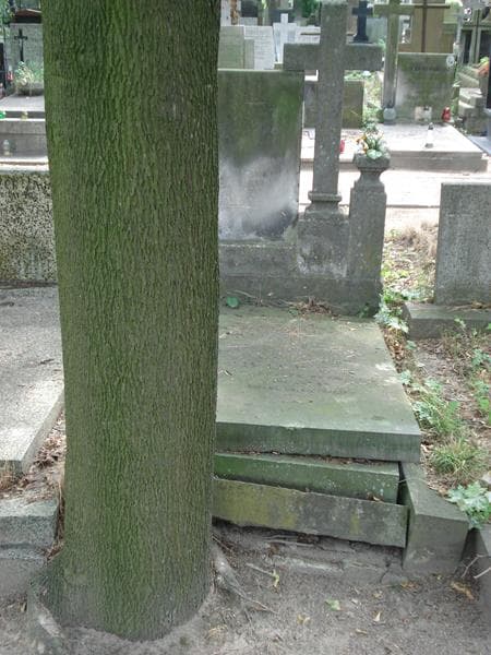 Zdjęcie grobu: Arnold Alfred Bodek