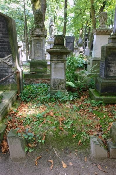 Zdjęcie grobu Aloizy Roszkowski (1)