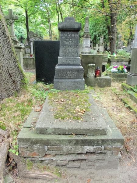 Zdjęcie grobu: Ferdynand Friese