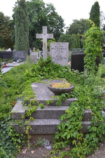 Zdjęcie grobu Wacław Malikowski (1)
