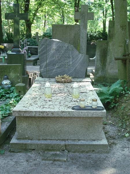 Zdjęcie grobu: Wacław Puczyński