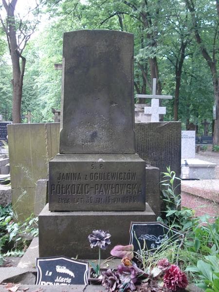 Zdjęcie grobu Anastazja Ogulewicz (2)