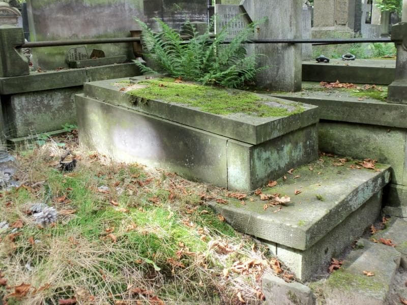 Zdjęcie grobu Ludwik Wasilewski (1)