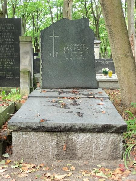 Zdjęcie grobu: Stanisław Taniewicz