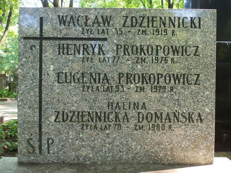 Zdjęcie grobu Eugeniusz Domański (2)