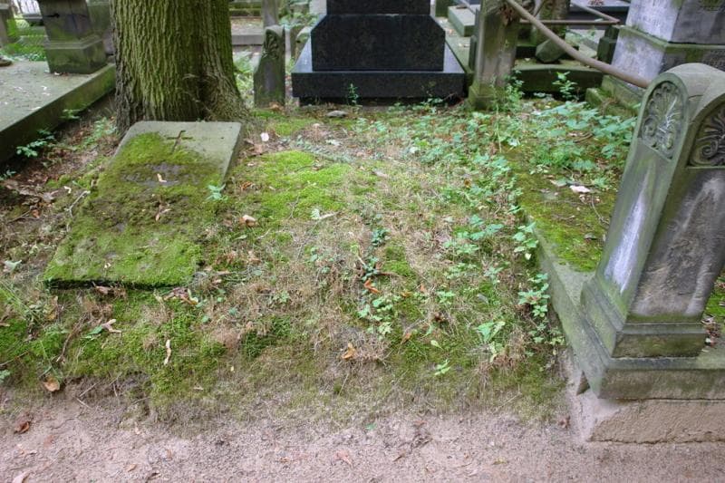 Zdjęcie grobu Pole Grobowe (1)