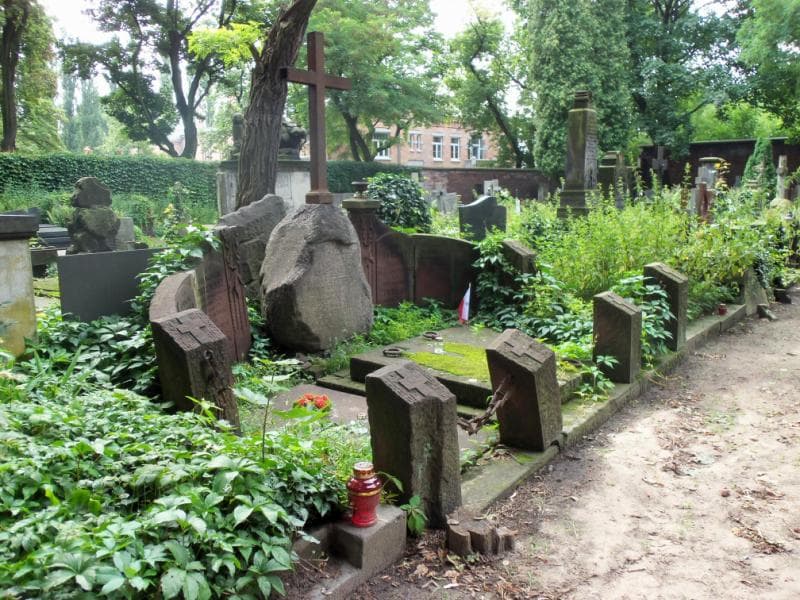 Zdjęcie grobu Zofja Dalewska (1)