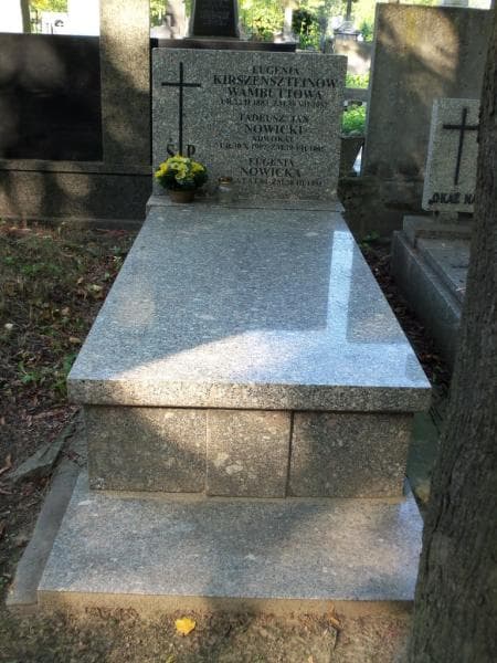Zdjęcie grobu: Tadeusz Jan Nowicki