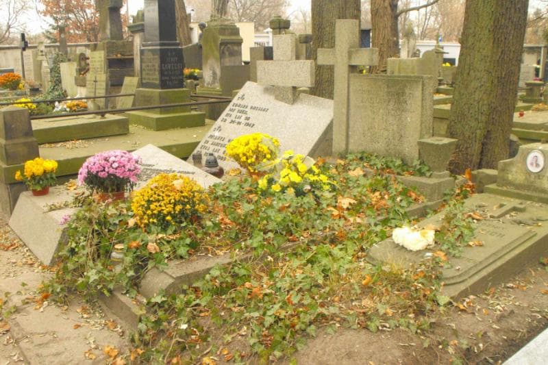 Zdjęcie grobu Władysław Babiarz (1)