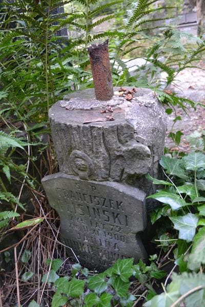 Zdjęcie grobu Franciszek Flisiński (1)