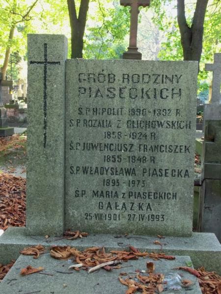 Zdjęcie grobu Hipolit Piasecki (2)