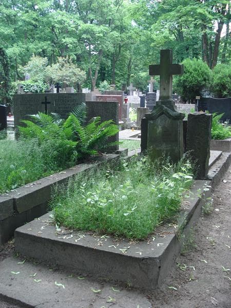 Zdjęcie grobu Antoni Taciak (1)