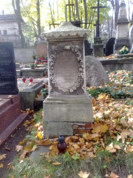 Zdjęcie grobu Domicella Niemoiewska (2)