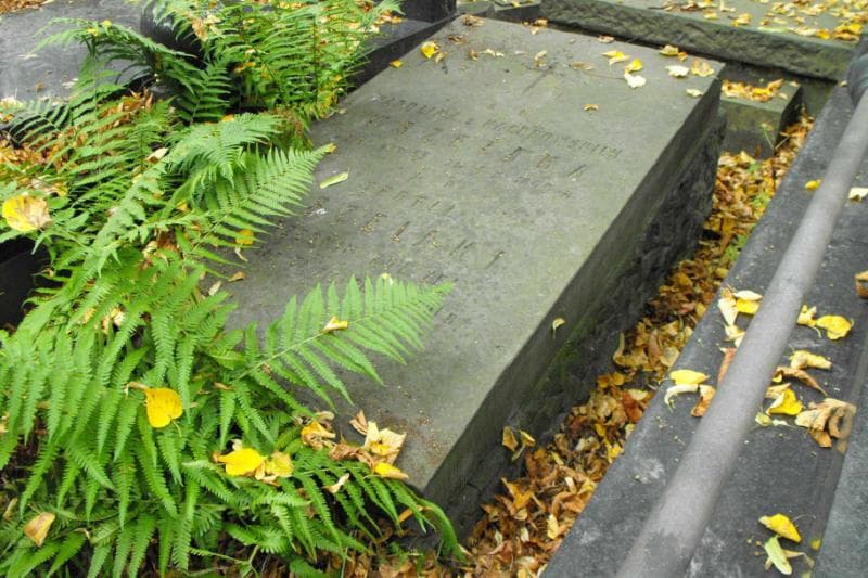 Zdjęcie grobu Teofil Wszelaki (1)