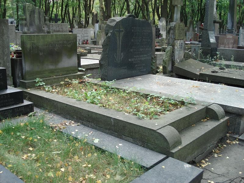 Zdjęcie grobu: Bolesław Baszkiewicz