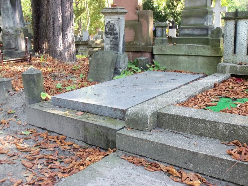 Zdjęcie grobu Józef Tarnowski (2)