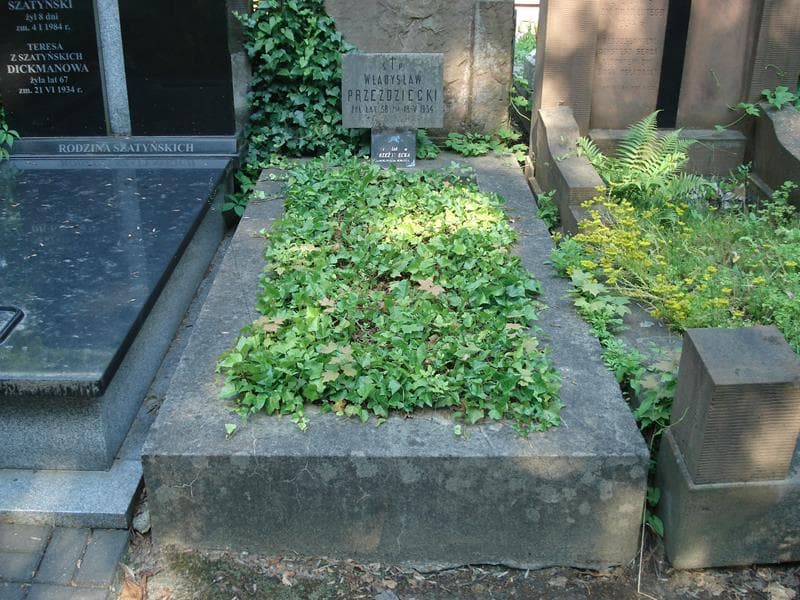 Zdjęcie grobu Władysław Przeździecki (1)