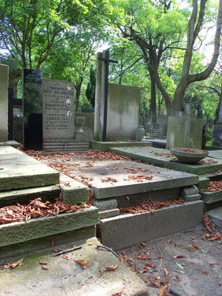 Zdjęcie grobu Krystyna Głuszczyk (1)