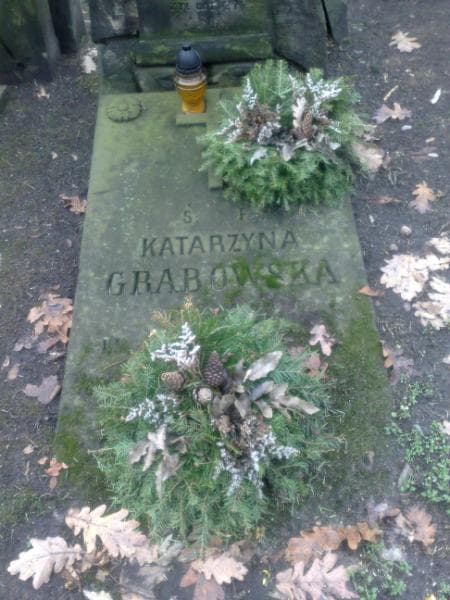 Zdjęcie grobu Stanisław Gołębiowski (2)