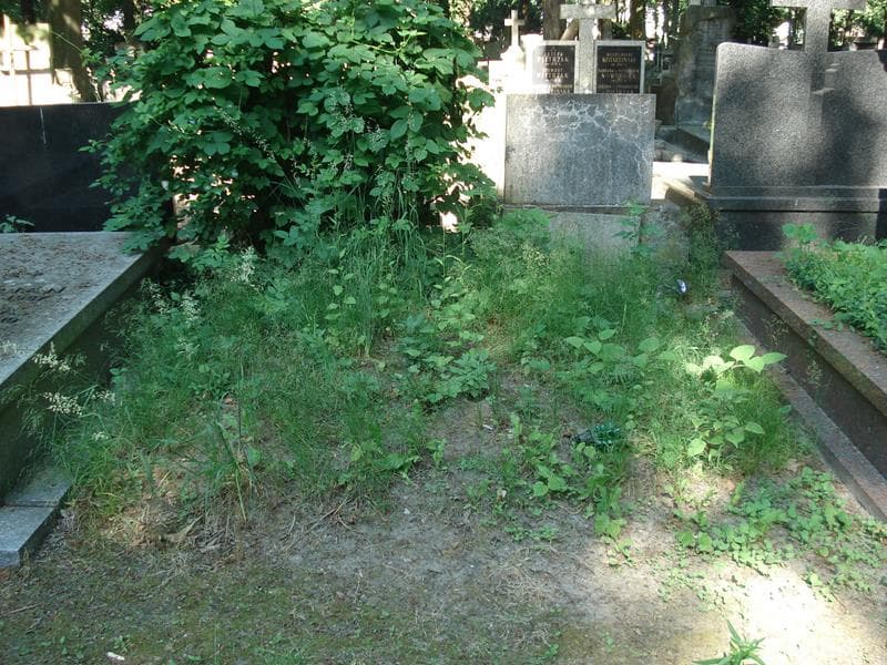 Zdjęcie grobu: Pole Grobowe