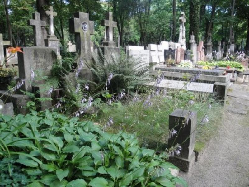 Zdjęcie grobu Czesia Olszańska (1)