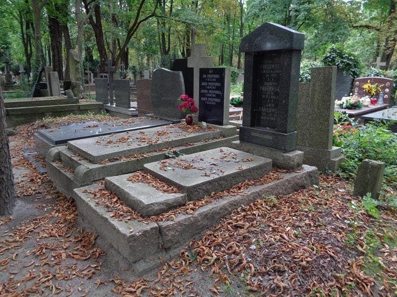 Zdjęcie grobu: Jan Pawłowski
