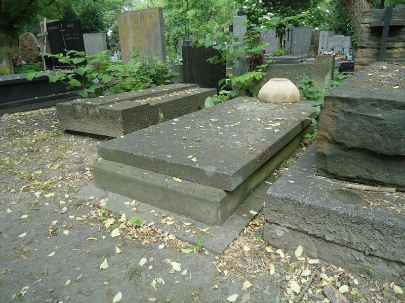 Zdjęcie grobu Leonidas Abolnik (1)