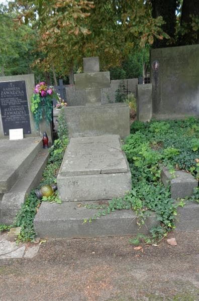 Zdjęcie grobu Janina Czermińska (1)