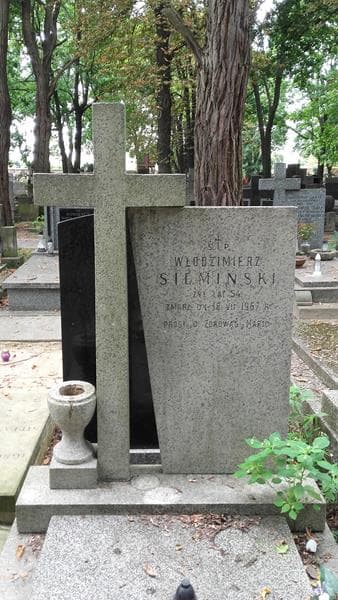 Zdjęcie grobu Włodzimierz Siemiński (2)