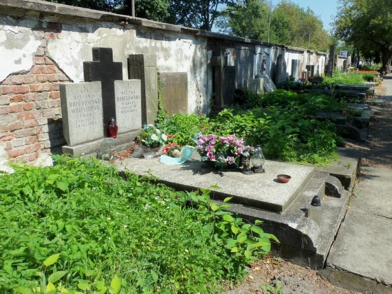 Zdjęcie grobu Stefania Dołęgowska Wojtychowa (1)
