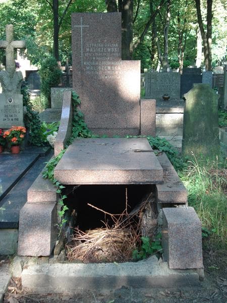 Zdjęcie grobu: Wiktoria Maliszewska