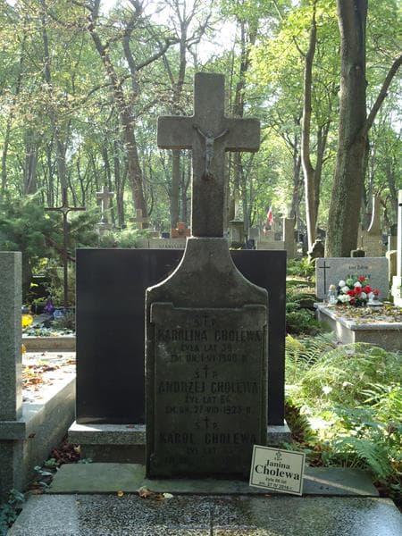Zdjęcie grobu Janina Cholewa (2)