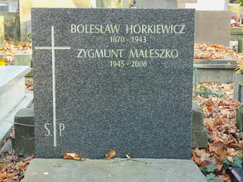 Zdjęcie grobu Zygmunt Maleszko (2)