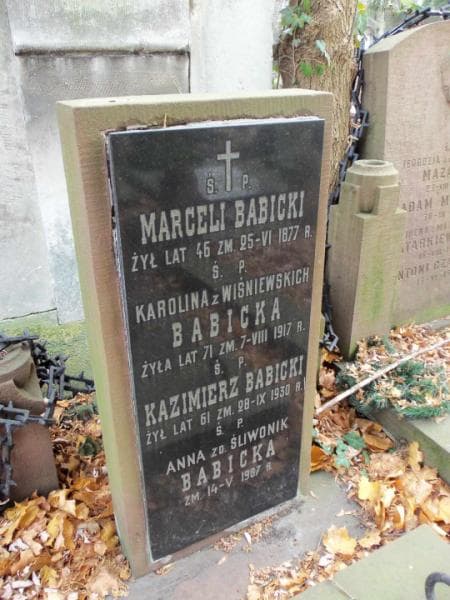 Zdjęcie grobu Anna Babicka (2)