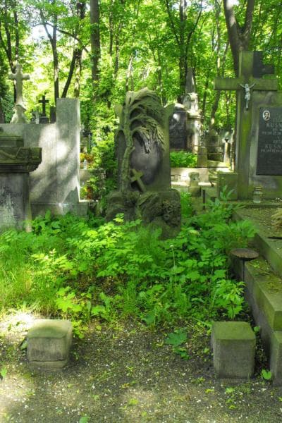 Zdjęcie grobu: Marya Krzyżanowska