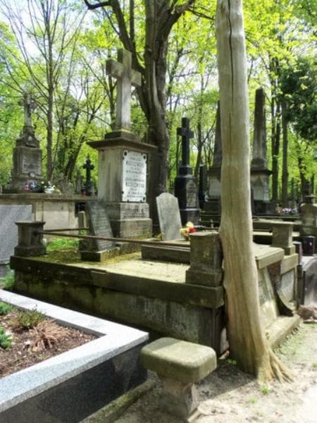 Zdjęcie grobu Teofil Wasilewski (1)
