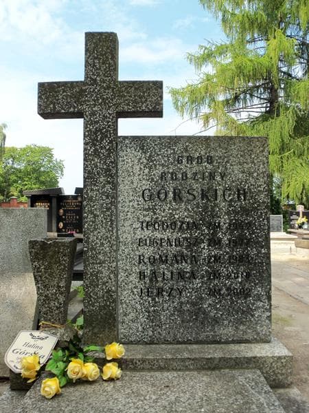 Zdjęcie grobu Teodozja Górska (2)