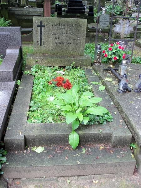 Zdjęcie grobu: Janina Fołtyn