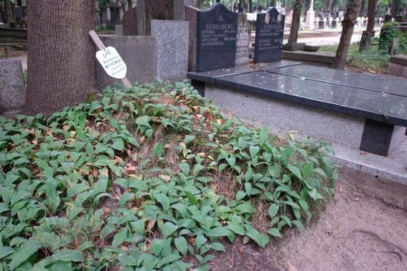 Zdjęcie grobu Anonim (1)