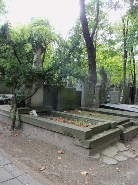Zdjęcie grobu Józef Dąbkowski (1)