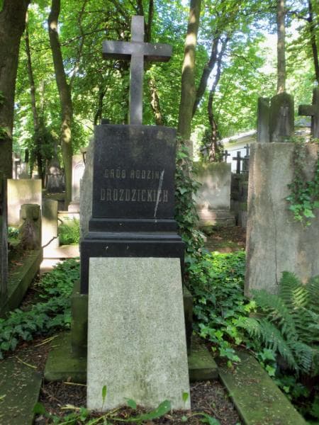 Zdjęcie grobu Feliks Drozdzicki (2)