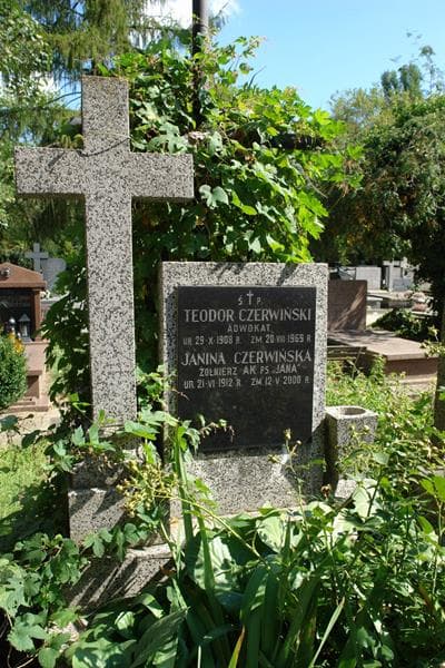Zdjęcie grobu Teodor Czerwiński (2)